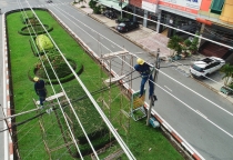 TP.HCM hoàn thành công trình đường dây 110kV Phú Lâm - Bình Phú mừng Quốc khánh